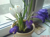 DSC00822.webp