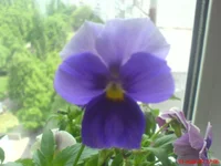 DSC00890.webp