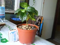 DSC05551.webp