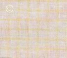 A_caroiata.webp