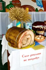 salo.webp