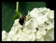 DSC06741.webp