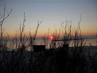 SDC10421....webp