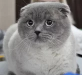 DSC_05988 сжат.webp