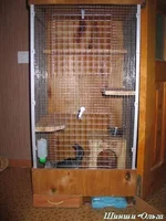 20_07 0002.JPG