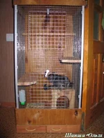 20_07 0003.JPG