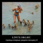 5bhz5xhgcvh5.webp