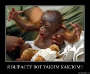.webp