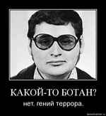.webp