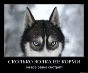 .webp