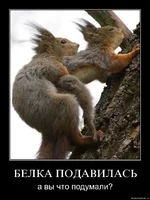 .webp