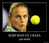 .webp