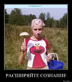 .webp