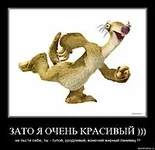 .webp