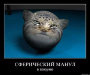 дункель.jpg