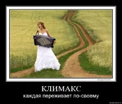 .webp