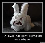 .webp