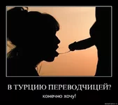yu8t08bufjl5.webp