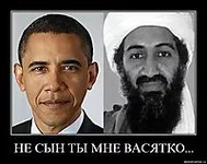 .webp