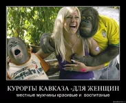 .webp