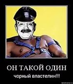 .webp