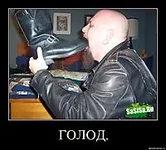 28.webp