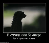 .webp
