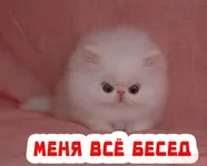  всё бесит.webp