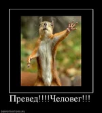 .webp