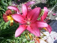 PIC_0155.webp