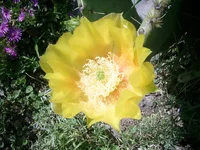 PIC_0278.webp