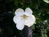 PIC_0958.webp