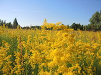 DSCN8893.jpg