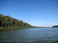 IMG_4118.jpg