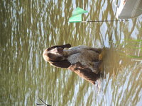 DSCN8930.jpg