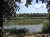 DSCN8953.jpg