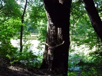 SAM_1285.webp