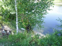 SAM_1288.webp