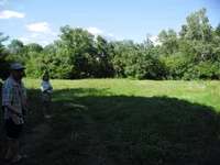 SAM_1293.webp