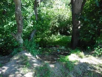 SAM_1295.webp