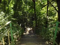 SAM_1297.webp