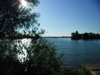 SAM_1300.webp