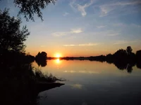 SAM_1301.webp