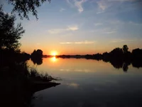 SAM_1302.webp