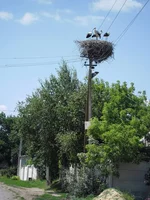SAM_1314.webp
