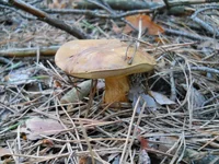 Image00002.webp