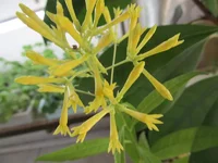 crop_133004690_ZfeFQn.webp