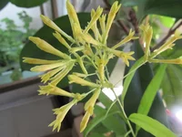 crop_133004735_TzHCtT.webp