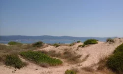 20150708_112329.webp