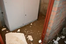 9b0195b154af.webp